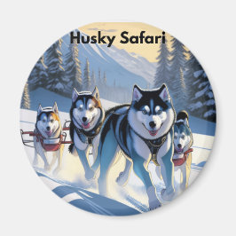 Cirkelmagneet Magneet