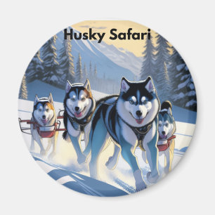 Cirkelmagneet Magneet