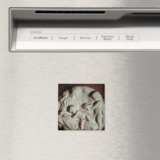 Cirkelsteen van Tondo Taddei Magneet (Insitu (Vaatwasser))