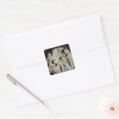 Cirkelsteen van Tondo Taddei Vierkante Sticker (Envelop)