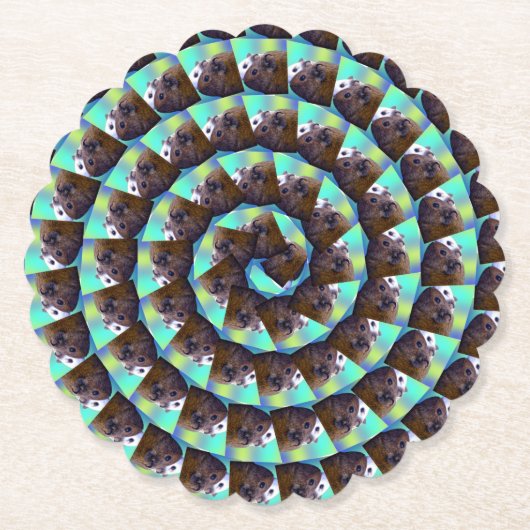 cirkelvormig bruin en wit cavia patroon, kartonnen onderzetters (Voorkant)
