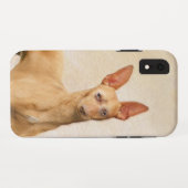 Cirneco dell'Etna Painting - Cute Original Dog Art Case-Mate iPhone Case (Achterkant (horizontaal))