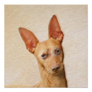 Cirneco dell'Etna Schilderij - Mooie Originele Hon Perfect Poster