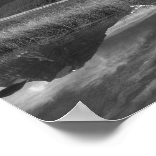 Cirruswolken over het meer van Waterfowl, Banff Poster (Hoek)