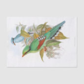 Cissa Venatoria ontkoppeling Tissuepapier (Voorkant)