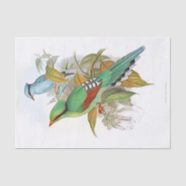 Cissa Venatoria ontkoppeling Tissuepapier