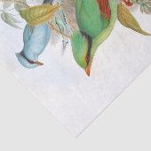 Cissa Venatoria ontkoppeling Tissuepapier (Detail)