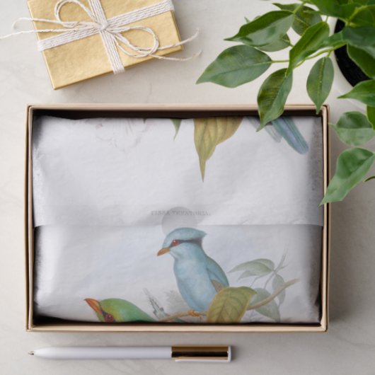 Cissa Venatoria ontkoppeling Tissuepapier (Geschenk)