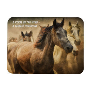 Citaat over paarden koelkastmagneet magneet