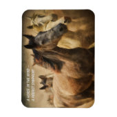 Citaat over paarden koelkastmagneet magneet (Verticaal)