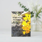 Citaat over schoonheid overal vinden. briefkaart (Staand voorkant)