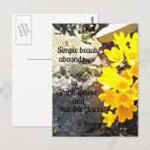 Citaat over schoonheid overal vinden. briefkaart (Voorkant / Achterkant)