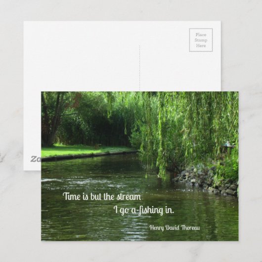 Citaat over tijd en vissen. briefkaart (Voorkant / Achterkant)