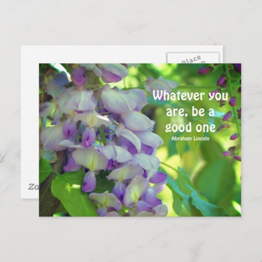 Citaat van de Aanvlieghoogte van de Wisteria Flowe Briefkaart (Voorkant / Achterkant)
