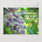 Citaat van de Aanvlieghoogte van de Wisteria Flowe Briefkaart (Voorkant)