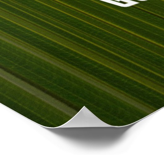 Citaat van Plato Poster (Hoek)