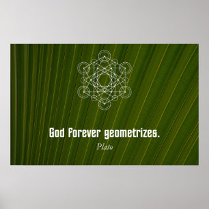 Citaat van Plato Poster