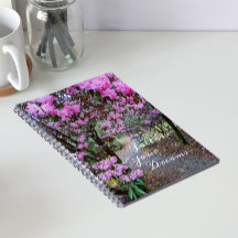Citaat 'Volg je dromen' bloemendachtig tuinpad