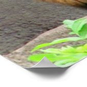 Citaat voor mannelijke Lion St. Augustine Truth Poster (Hoek)