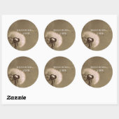 Citaat: Ze geloofde dat ze het kon, dus deed ze he Ronde Sticker (Vel)