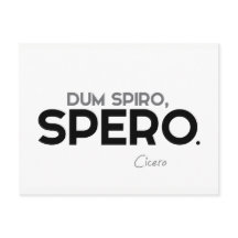 Citaten: Cicero: Dum spiro, spero