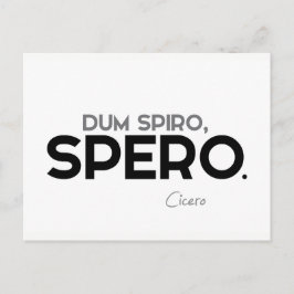 Citaten: Cicero: Dum spiro, spero Briefkaart