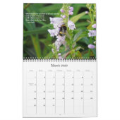 Citaten voor de optie F Levenskalender Kalender (Mar 2026)