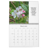 Citaten voor levenskalender Optie D Kalender (Mar 2026)