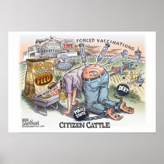 Citizen Cattle 19 x 13 inch, Poster Semi-gloss (Voorkant)