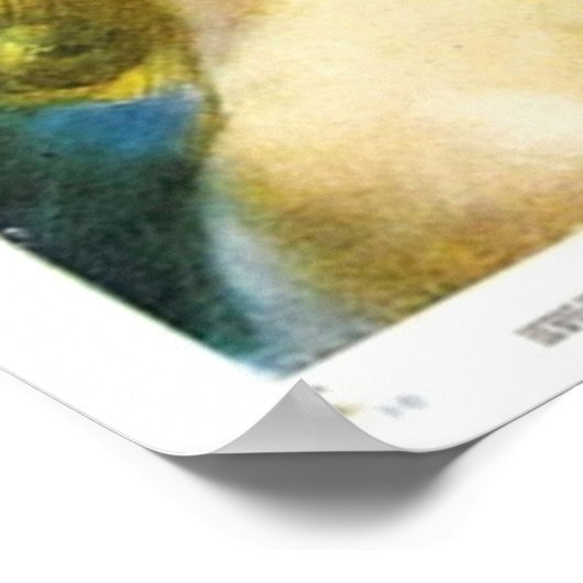 Citizen Kane Poster (Hoek)