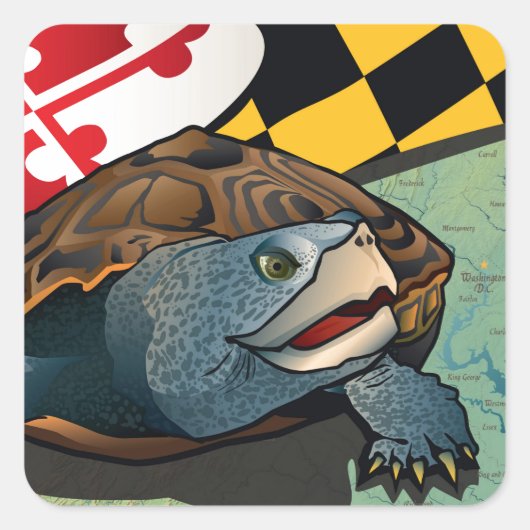 Citizen Terrapin, Maryland's Turtle Vierkante Sticker (Voorkant)