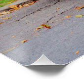 Citroen 2 CV Charleston Perfect Poster (Hoek)