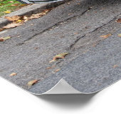 Citroen 2 CV Charleston Poster (Hoek)