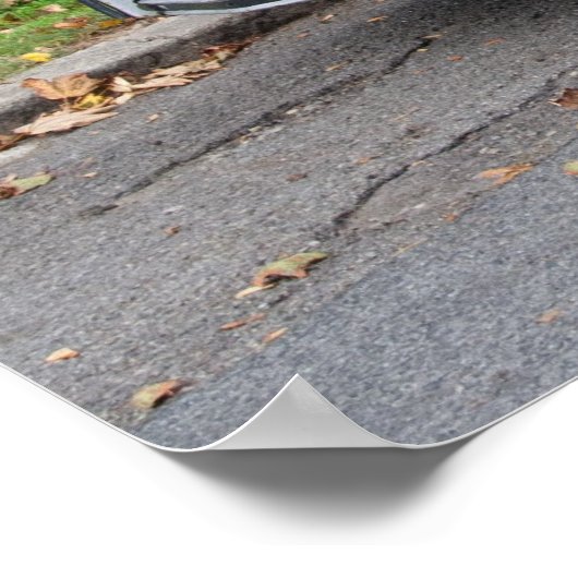 Citroen 2 CV Charleston Poster (Hoek)