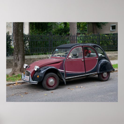 Citroen 2 CV Charleston Poster (Voorkant)