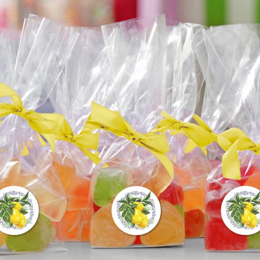 Citroen & Blauwe Toile Filigree Elegant Ronde Sticker