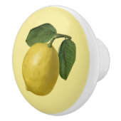 Citroen ~ Botanische Fruit ~ Elke Achtergrondkleur Keramische Knop (Rechts)