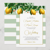 Citroen Botanische Salie Groene Witte Streep Bruil Kaart (Voorkant / Achterkant)