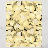 Citroen briefpapier (Achterkant)