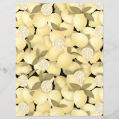 Citroen briefpapier (Achterkant)