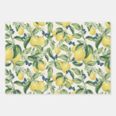 Citroen Citrus Blauwe Vlinders Inpakpapier Vel (Voorkant 3)