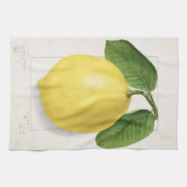 Citroen (Citrus Limon) door Ellen Isham Schutt – 1 Theedoek