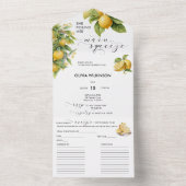 Citroen | Citrus | VRIJGEZELLENFEEST All In One Uitnodiging (Binnen)