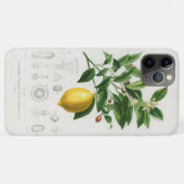 Citroen Citrusfruit Botanische Limonium Illustrati Case-Mate iPhone Case (Achterkant (horizontaal))