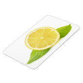 Citroen en munt magneet (Linkerzijde)