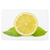 Citroen en munt magneet (Horizontaal)