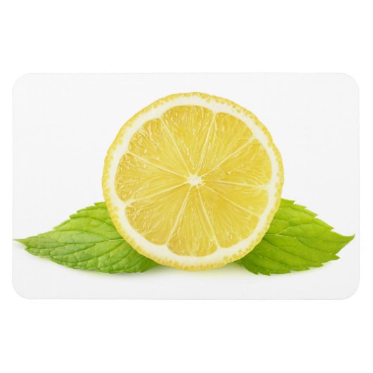 Citroen en munt magneet (Horizontaal)