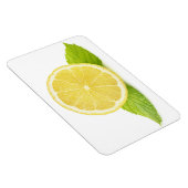 Citroen en munt magneet (Rechterzijde)