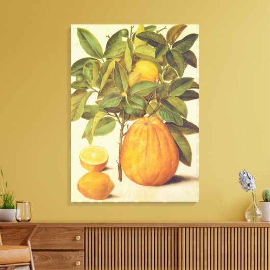  citroen en pomelo botanische schilderij canvas afdruk (Insitu (Woonkamer))
