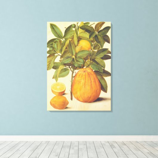 citroen en pomelo botanische schilderij canvas afdruk (Insitu (Houten vloer))